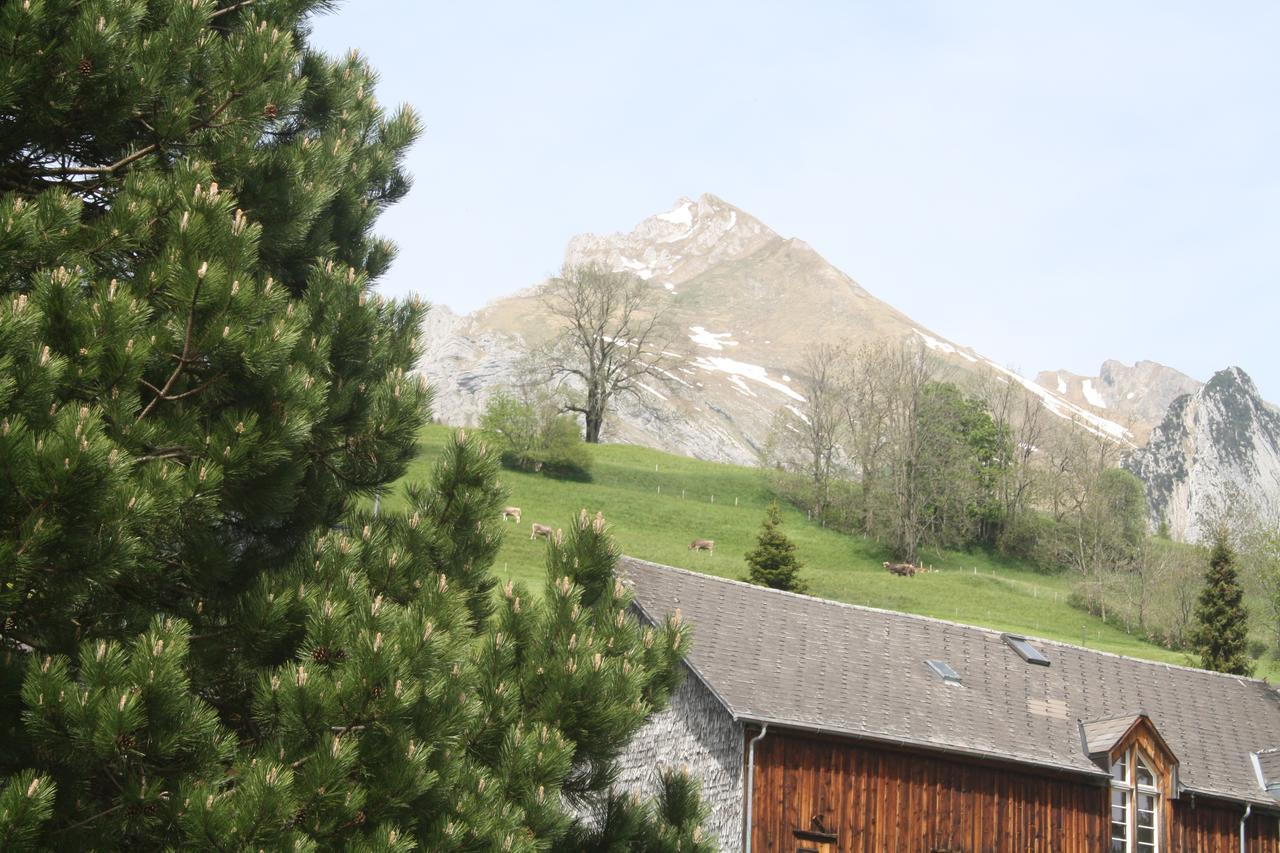 Hotel Restaurant Schoenau Wildhaus Dış mekan fotoğraf